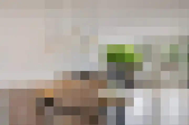 Oksholm 215 Hoofddorp thumbnail 13