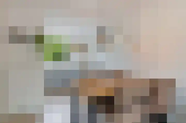 Oksholm 215 Hoofddorp thumbnail 14
