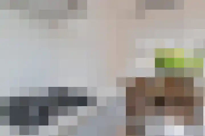 Oksholm 215 Hoofddorp thumbnail 15