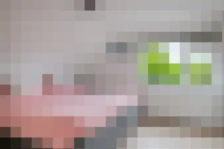 Oksholm 215 Hoofddorp thumbnail 19