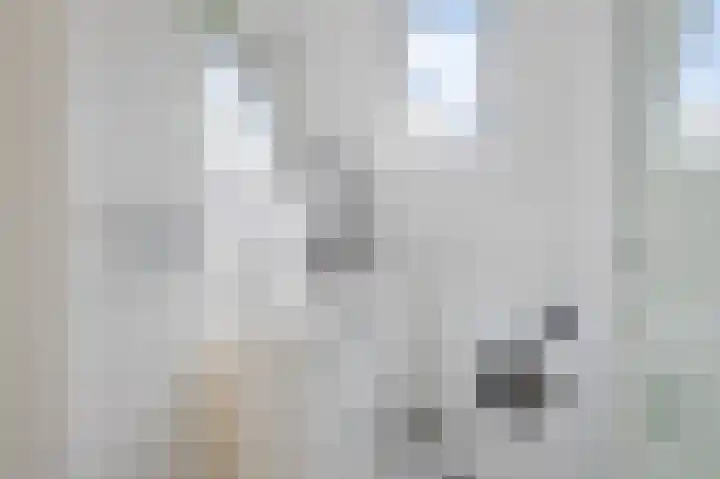 Oksholm 215 Hoofddorp thumbnail 22