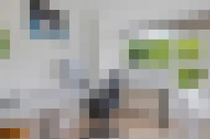 Oksholm 215 Hoofddorp thumbnail 25