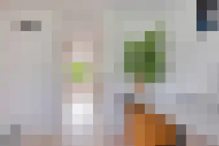 Oksholm 215 Hoofddorp thumbnail 28