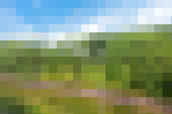 Oksholm 215 Hoofddorp thumbnail 29
