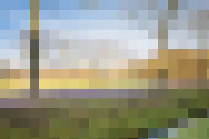 Oksholm 227 Hoofddorp thumbnail 27
