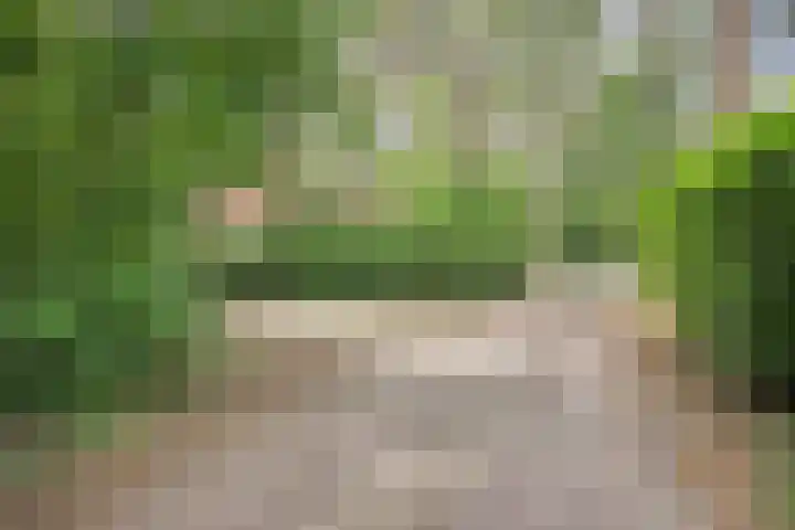 Okster 12 Roden thumbnail 14