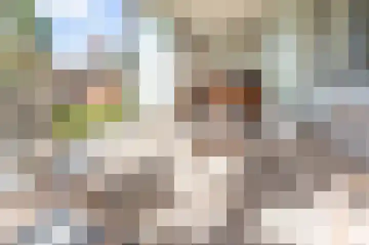 Okster 12 Roden thumbnail 15