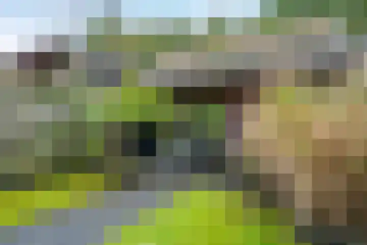 Okster 12 Roden thumbnail 16