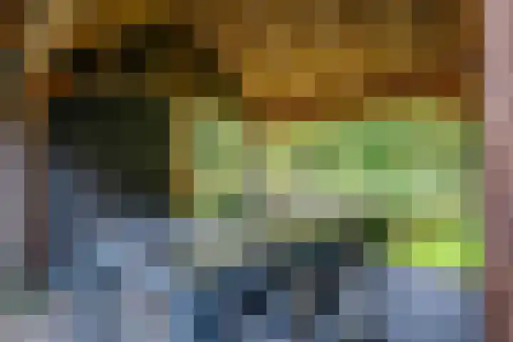 Okster 12 Roden thumbnail 17