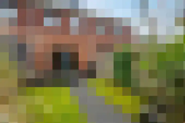 Okster 12 Roden thumbnail 20