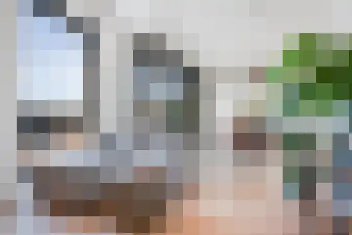 Okster 12 Roden thumbnail 29