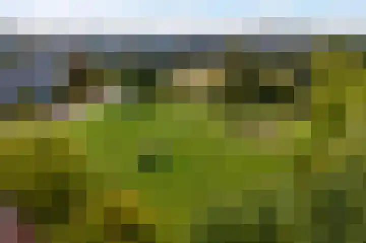 Okster 12 Roden thumbnail 38
