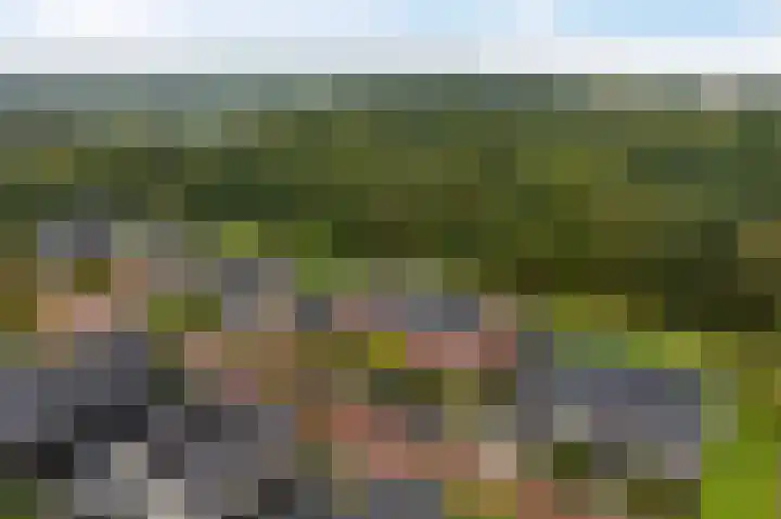 Okster 12 Roden thumbnail 39