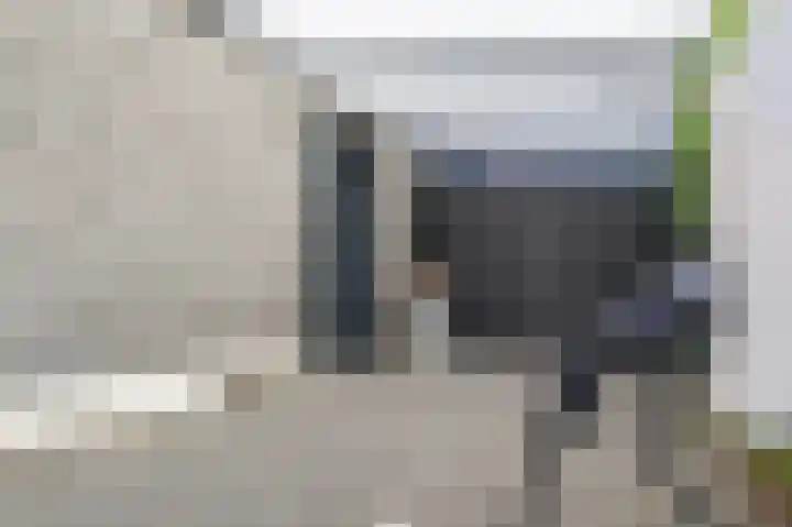 Okswerd 2 Groningen thumbnail 10