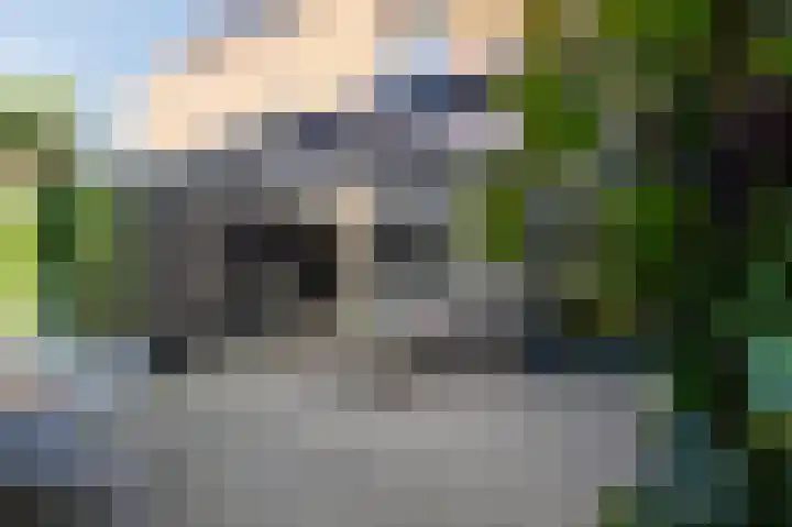 Okswerd 2 Groningen thumbnail 19