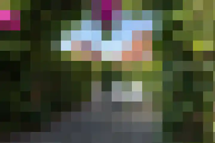 Okswerd 2 Groningen thumbnail 21