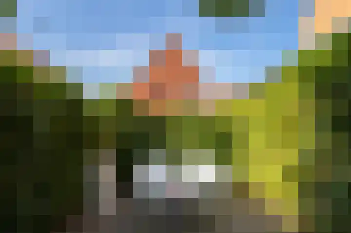 Okswerd 2 Groningen thumbnail 22