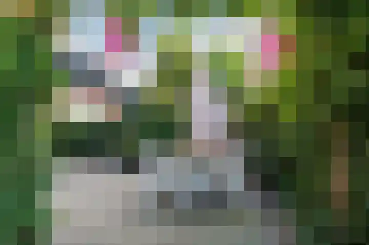 Okswerd 2 Groningen thumbnail 23