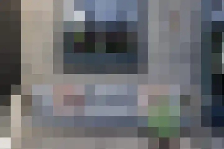Okswerd 2 Groningen thumbnail 24