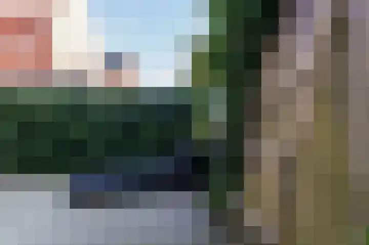 Okswerd 2 Groningen thumbnail 25