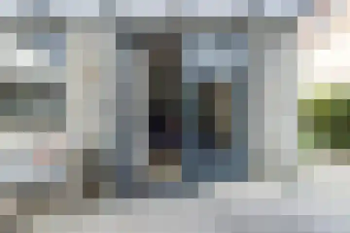 Okswerd 2 Groningen thumbnail 29