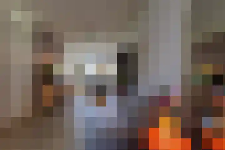 Okswerd 2 Groningen thumbnail 31