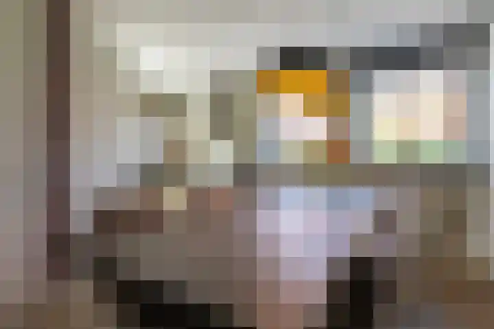 Okswerd 2 Groningen thumbnail 33
