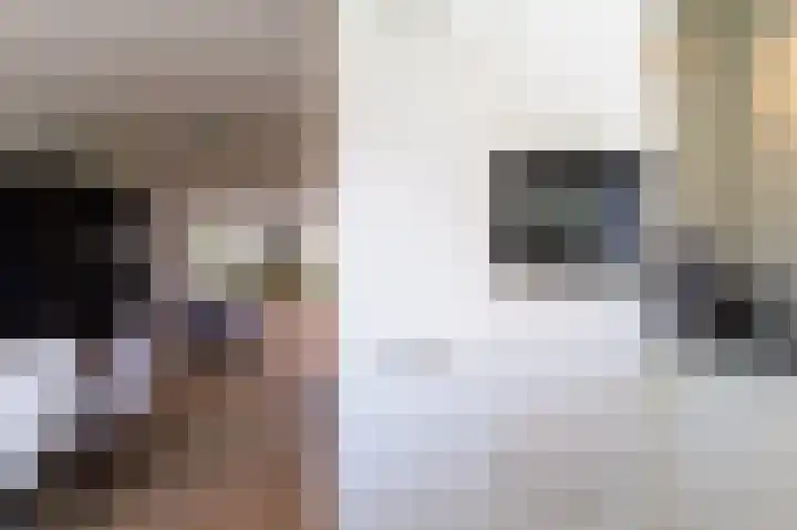 Okswerd 2 Groningen thumbnail 43