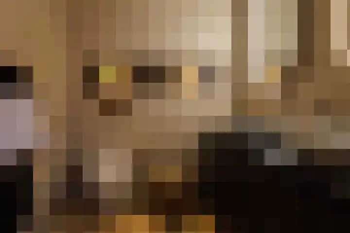 Okswerd 2 Groningen thumbnail 50