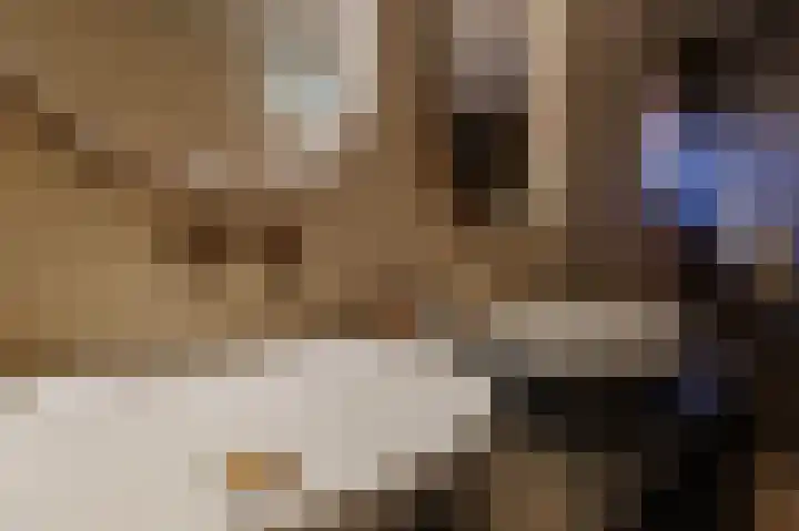 Okswerd 2 Groningen thumbnail 52