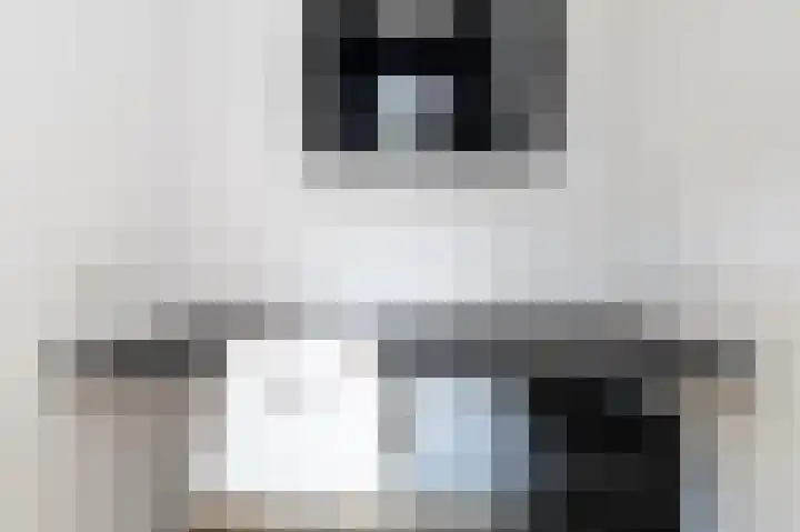 Okswerd 2 Groningen thumbnail 67