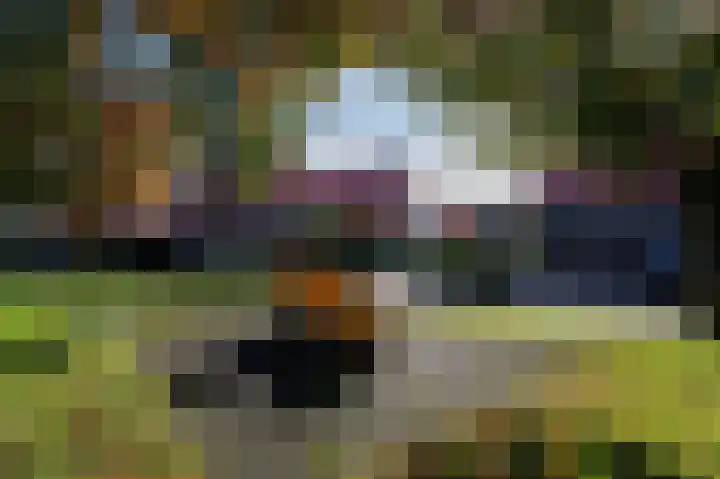 Okswerd 2 Groningen thumbnail 7
