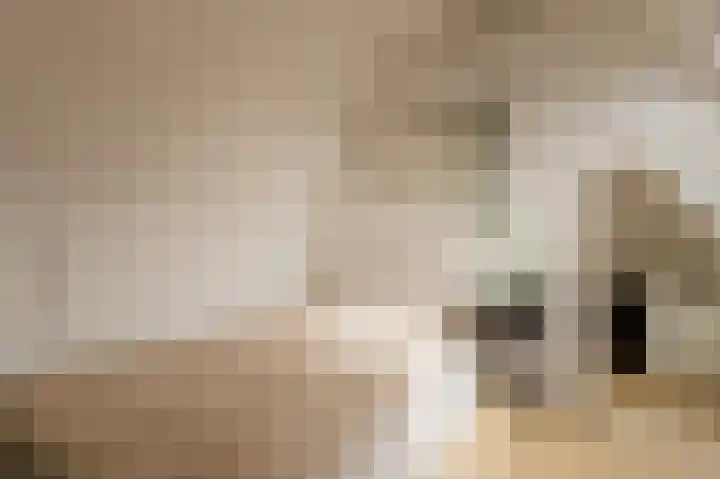 Okswerd 2 Groningen thumbnail 83