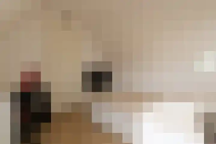 Okswerd 2 Groningen thumbnail 85