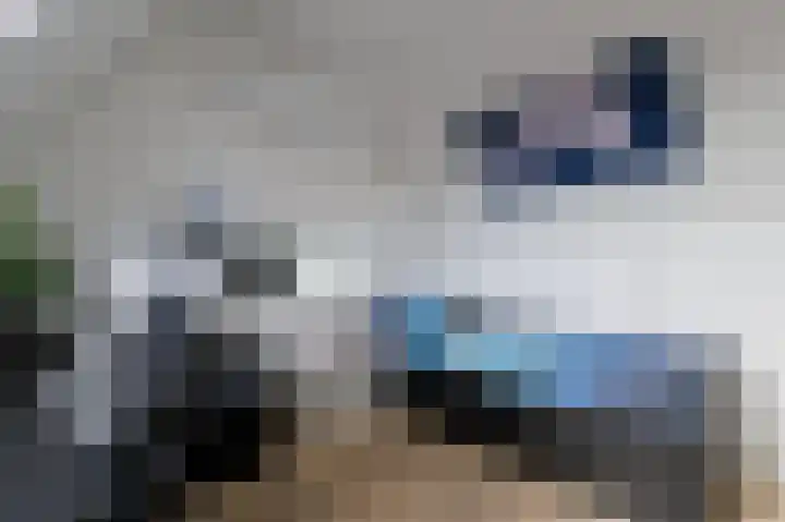 Okswerd 2 Groningen thumbnail 87