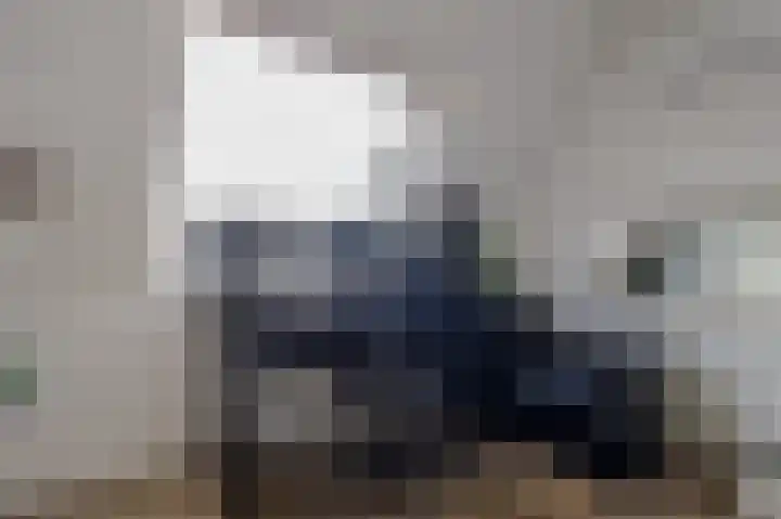 Okswerd 2 Groningen thumbnail 89
