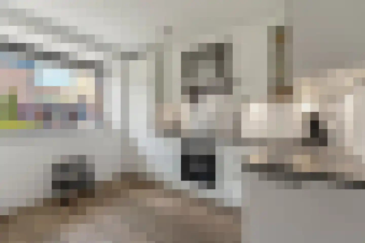 Oktaviastraat 6 Nijmegen thumbnail 12