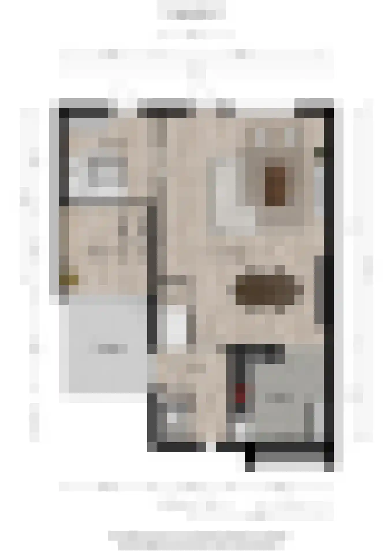 Oktaviastraat 6 Nijmegen thumbnail 38