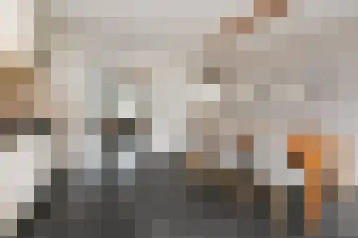 Olaertsduynstraat 27 Bleiswijk thumbnail 22