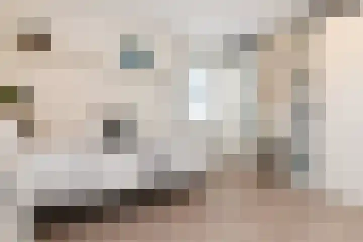 Olaertsduynstraat 27 Bleiswijk thumbnail 36