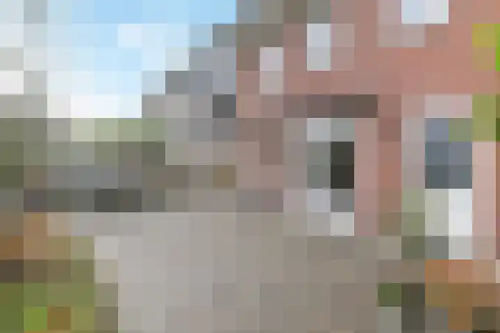 Olaertsduynstraat 27 Bleiswijk thumbnail 51