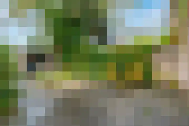 Olberslaan 11 Bilthoven thumbnail 12