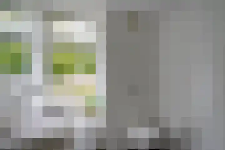 Olberslaan 11 Bilthoven thumbnail 26