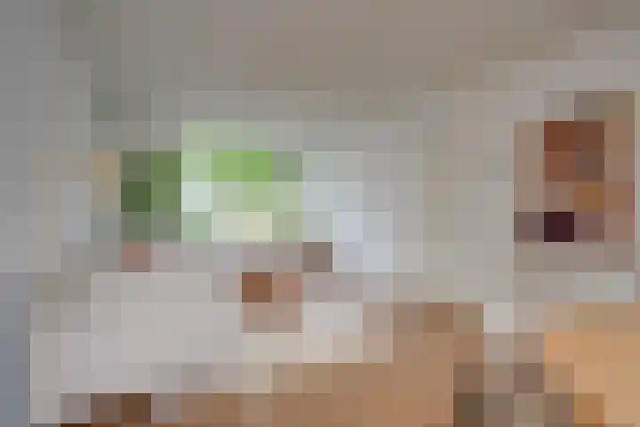 Olberslaan 11 Bilthoven thumbnail 5