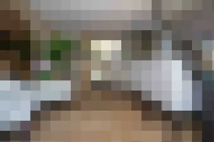 Old Ruitenborgh 13 Hengelo thumbnail 10
