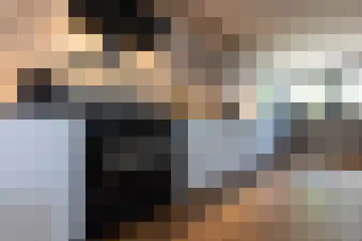 Old Ruitenborgh 13 Hengelo thumbnail 16