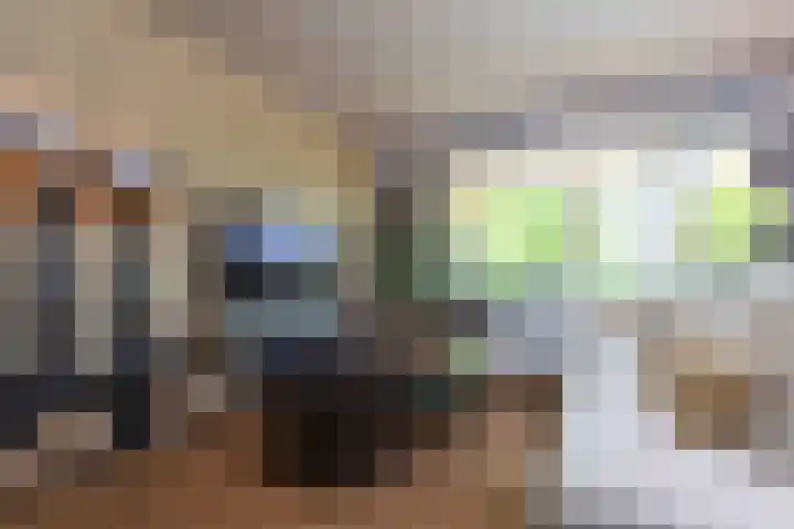 Old Ruitenborgh 13 Hengelo thumbnail 20