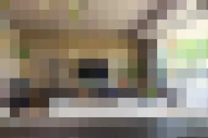 Old Ruitenborgh 13 Hengelo thumbnail 21