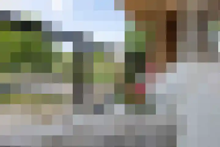 Old Ruitenborgh 13 Hengelo thumbnail 23