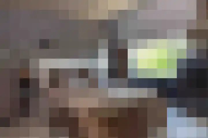 Old Ruitenborgh 13 Hengelo thumbnail 24